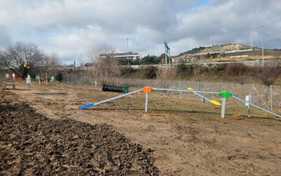 LA NUEVA ORDENANZA DE ANIMALES REFUERZA LAS MEDIDAS DE CIVISMO