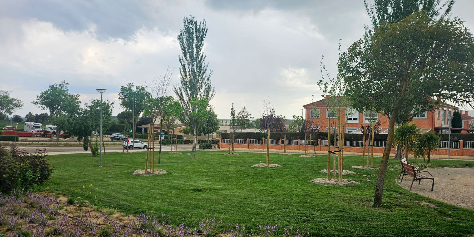 IPAE-árboles
